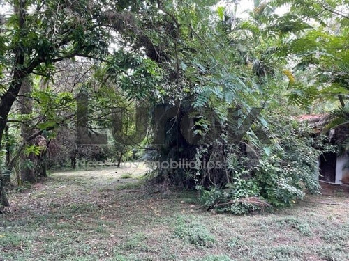 Imagem 2 de 9 de Terreno À Venda Em Vale Verde - Te006030