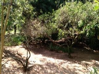 Imagem 20 de 23 de Chácara À Venda Em Chácara Primavera - Ch115716