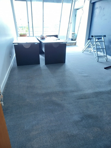 Imagen 3 de 6 de Servicio Profesional De Limpieza De Alfombras