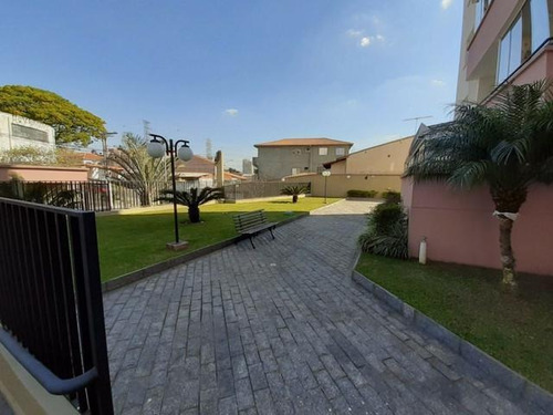 Imagem 13 de 13 de Apto Na Vila Matilde, Com 2 Dorms, 1 Vaga, 52m² - Ap14247