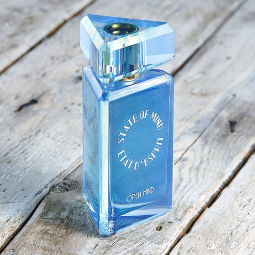 State Of Mind Open Mind Edp 100ml Unissex | + Amostra Volume Da Unidade 100 Ml