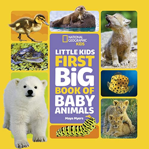 Libro Ng Little Kids First Big Book Of Baby Animals De Vvaa
