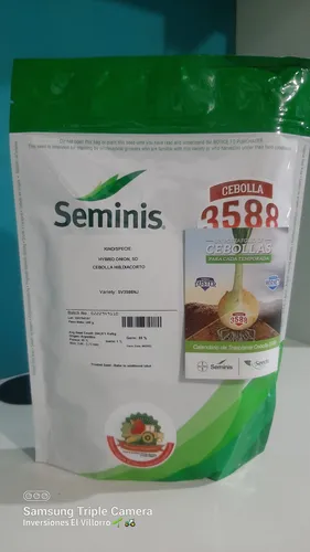 Semilla De Cebolla 3588 F1