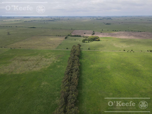Imagen 5 de 25 de Campo Mixto De 75 Has - Buen Acceso A 3 Km De Ruta 215 - A 1 Hs De Caba