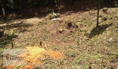 Imagem 2 de 15 de Imob03 - Terreno À Venda, 281 M² Por R$ 295.000 - Pastoril - Ribeirão Pires/sp - Te0427