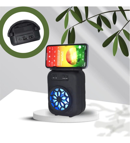 Parlante Portatil Delhi Inalambrico Bluetooth 500w 3 PuLG Color Negro