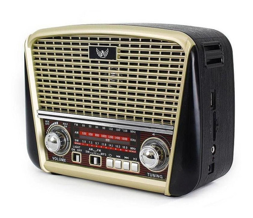 Radio Retro Portátil Clássico Am/fm/sw Entrada Usb