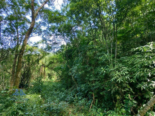 Imagem 3 de 5 de Terreno À Venda, 4320 M² Por R$ 450.000,00 - Pântano Do Sul - Florianópolis/sc - Te0245
