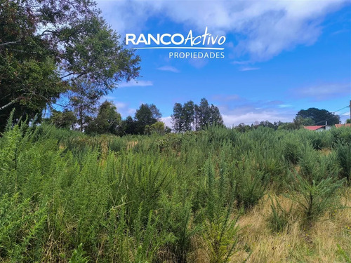 Parcela En Venta Las Gaviotas Poste 17, Valdivia.