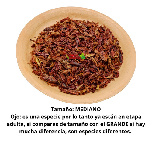 500 Gr Chapulines Sal Y Limón Medianos Oaxaqueños Verdor