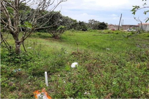Imagem 12 de 12 de Terreno De 250 Metros Á Duas Quadras Do Mar Em Itanhaém No Litoral Sul De Sp