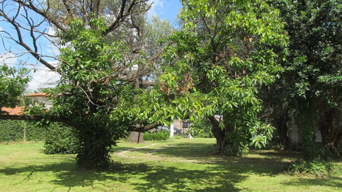 Lote En Venta