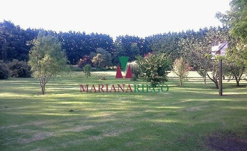 Imagen 10 de 30 de Importante Casa Quinta