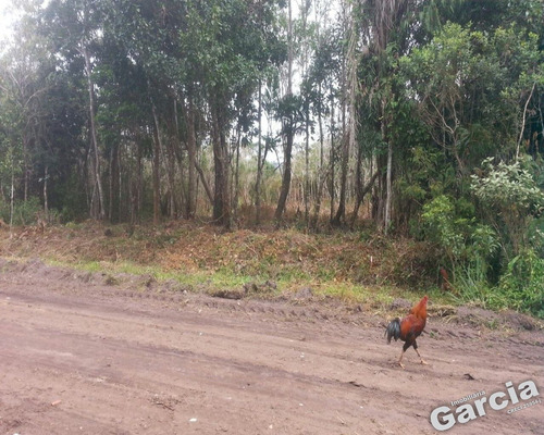 Imagem 2 de 2 de Tereno A Venda Em Peruíbe - 4771 - 34946183