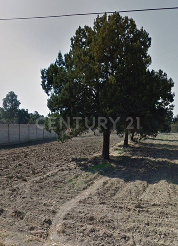 Terreno En Venta  San Bernardino Contla, Contla De Juan Cuamatzi