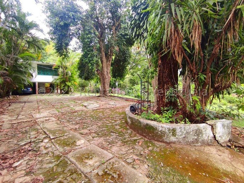 Imagen 11 de 14 de Terreno En Venta En El Castaño Maracay Aragua 22-25084 Irrr