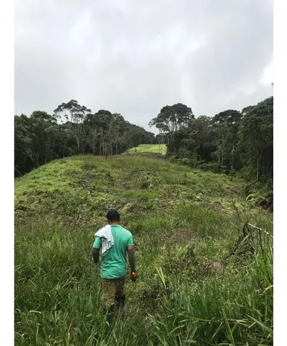 Vendo Fk 400 Cuadras Aptas Para Hass Pueblo Rico (risaralda)