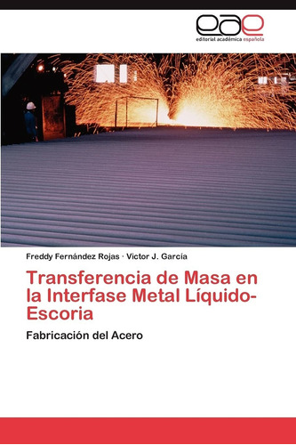 Libro Transferencia De Masa En La Interfase Metal Líqui Lcm1