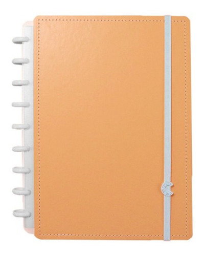 Caderno Inteligente 7895099707304 x 19cm