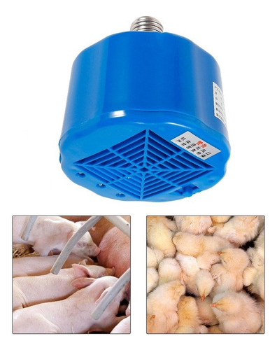 Termostato calentador de cultivos de 100-300 W para pollo
