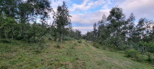 Venta Terreno En El Carril 600 M², San Antonio