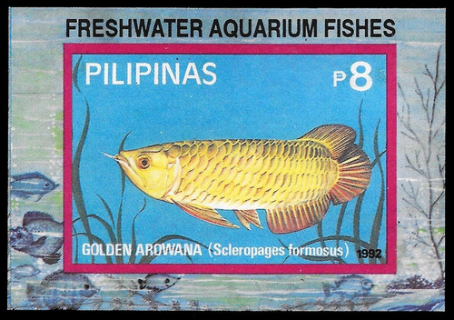 Peces De Acuario De Agua Dulce - Filipinas 1992 - Block Mint