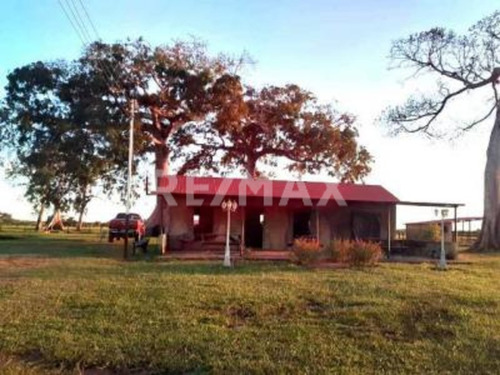 Imagen 14 de 15 de Finca En Venta Vía El Sur. Maturín (1)
