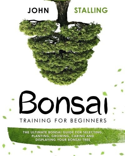 Bonsai Training For Beginners The Ultimate Bonsai Guide For 