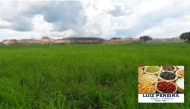 Fazenda À Venda Em Camapuã - Ms - De 830 Hectares (pecuária) - 1568