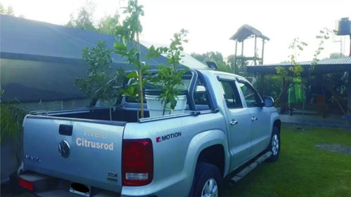 Imagen 8 de 8 de Árbol De Vereda Calistemo - No Caduca - Excelente -envíos