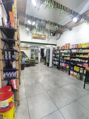 Local en alquiler