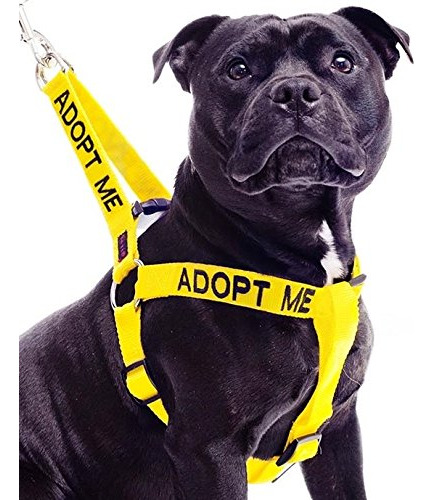 Adoptar Me Color Amarillo Coded L-xl Non-pull Arns Del Perro