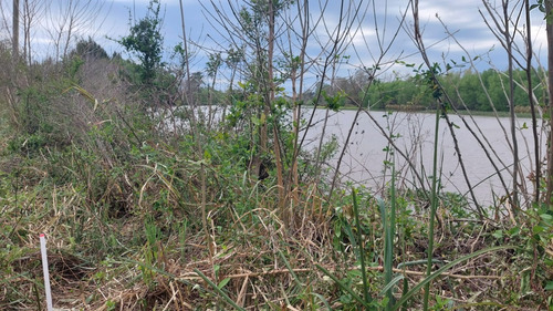 50 Metros De Costa Sobre El Rio Brazo Largo, Se Llega En Auto, Luz Y Escritura