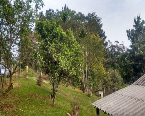 Chácara 5.000 M² - Lomba Grande - Novo Hamburgo - Rs - 1588 - 32420109