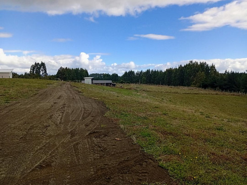 Terreno Ubicado A 6 Km De La Union, Sector Cudico