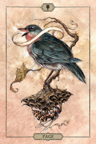 Hush Tarot, Stock Ya, Original, E. Us Games Sistems