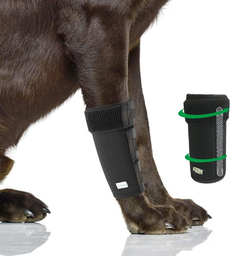 Rodilleras Para Perros Articulación Para Protección Lesion