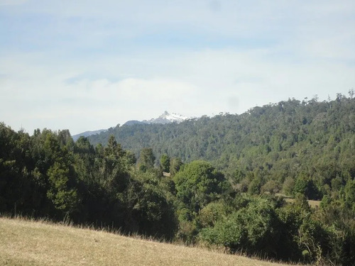 Agrícola En Venta En Lago Ranco