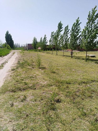 Imagen 7 de 8 de Terreno En Venta