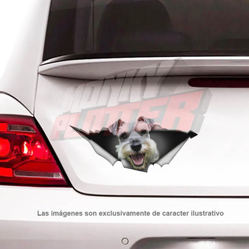 Calco Vinilo Sticker Auto Perro Mascota Animales