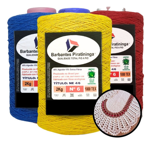 Kit 10 Barbantes Colorido E Cru 2kg Fio 6 8 + Brinde