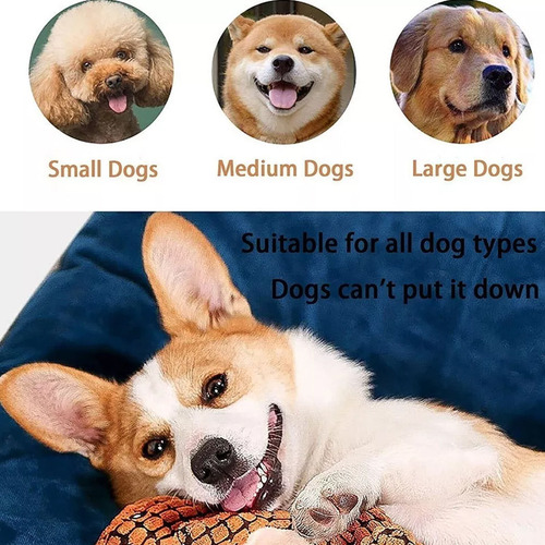 Cwa / Kit Dino Indestructible For Perros Con 3 Divertidos