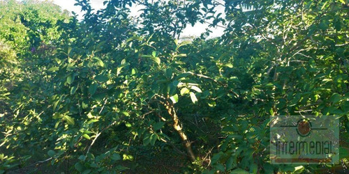 Chácara Com 4 Dormitórios, 4250 M² - Venda Por R$ 1.800.000,00 Ou Aluguel Por R$ 5.000,00/mês - Fazenda Castelo - Boituva/sp - Ch0629