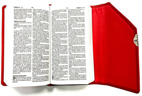 Biblia Rvr1960 Agenda Roja Con Broche