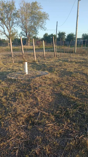 Terreno Fraccion  En Venta En Centro Agricola El Pato, Berazategui, G.b.a. Zona Sur