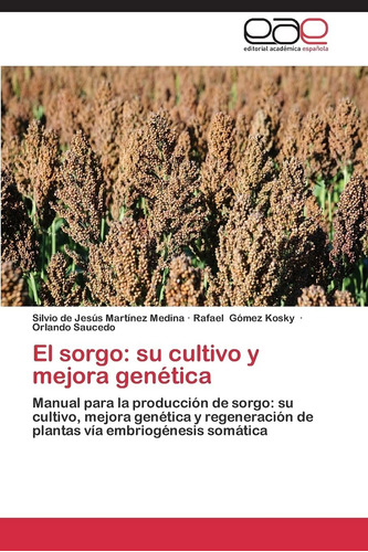 Libro El Sorgo: Su Cultivo Y Mejora Genética: Manual Pa Lcm7