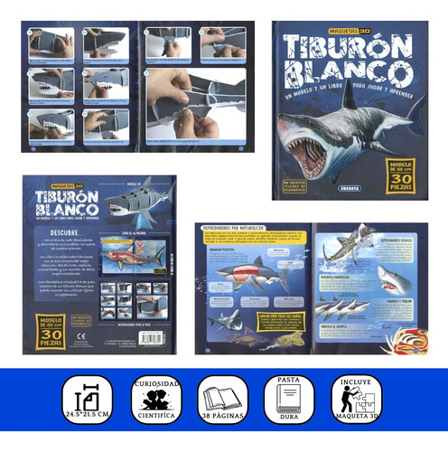 Tiburón Blanco - Pasta Dura - Maquetas 3d