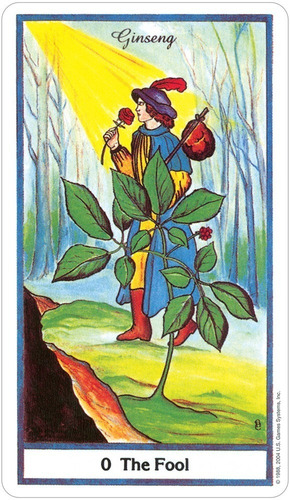 The Herbal Tarot - Original Importado