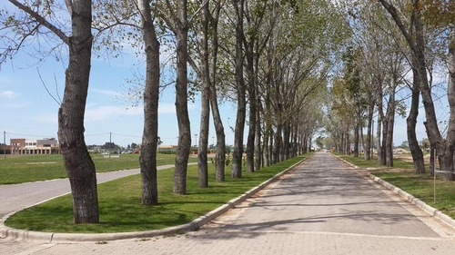 Imagen 2 de 12 de Terreno Lote En Venta Barrio La Alameda - Canning