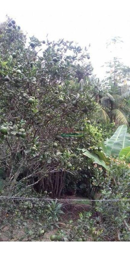 Imagem 16 de 20 de Chácara Com 2 Dormitórios À Venda, 1300 M² Por R$ 390.000,00 - Zona Rural - Paraibuna/sp - Ch0713